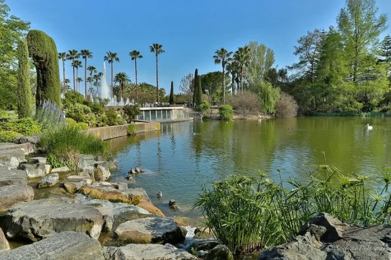 Pac phoenix