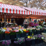 Le marché aux fleurs de Nice dans le vieux nice