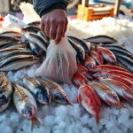 Le marche aux poissons