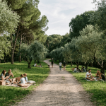Pique nique sur le parc du castel des deux rois