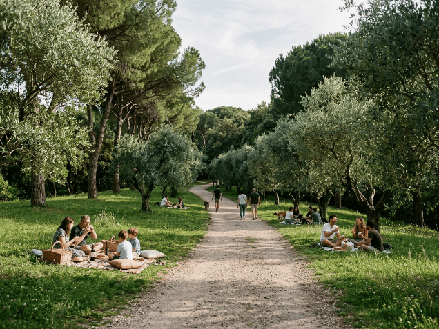 Pique nique sur le parc du castel des deux rois