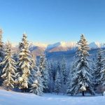 parc du boreon sous la neige